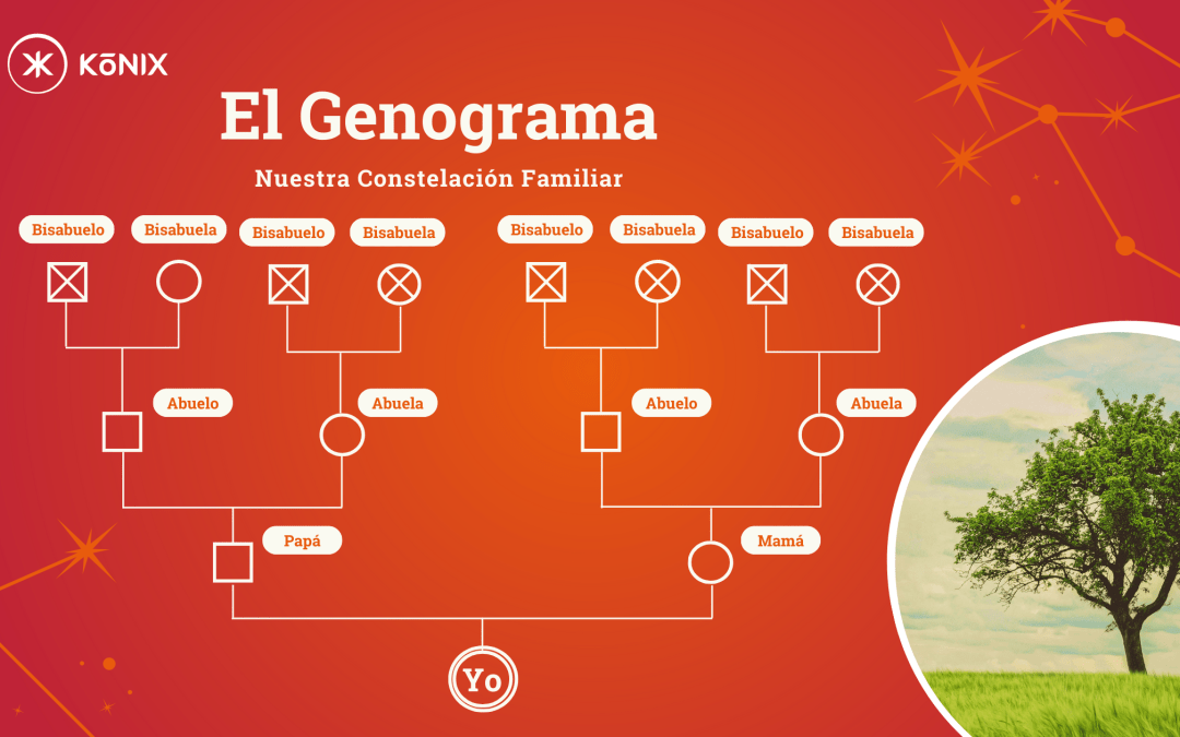 ¿ Qué es un Genograma?